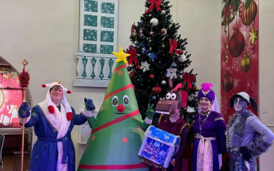 Детская театрализованная новогодняя игровая программа "Год коня. Миссия выполнима"