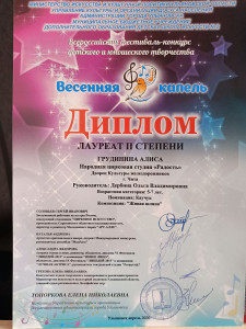 Народная цирковая студия "Радость"