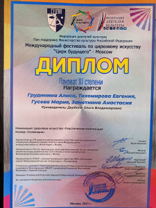 Народная цирковая студия "Радость"
