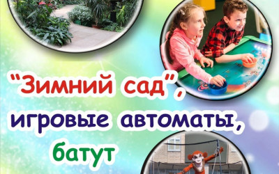 Зимний сад